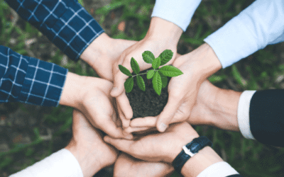 Licenciamento Ambiental: Tudo o Que Você Precisa Saber