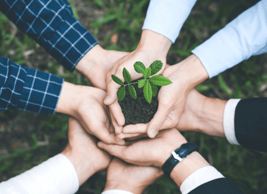 Licenciamento Ambiental: Tudo o Que Você Precisa Saber